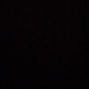 Meet your Posher, Dane